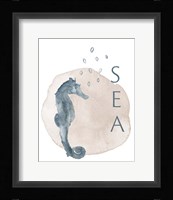 Sea Seahorse Framed Print