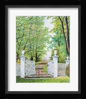 Narrow Is The Path Fine Art Print