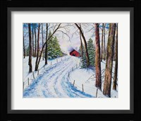 Winter's Glow Fine Art Print