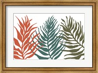 Palm Trio Fine Art Print