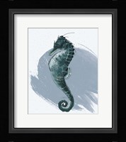 Seahorse Framed Print