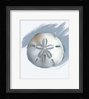 Sand Dollar Framed Print