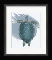 Sea Turtle Framed Print