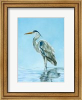 Garza Azul Fine Art Print