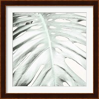 Summer Palm Fine Art Print