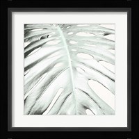 Summer Palm Fine Art Print