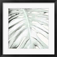 Summer Palm Fine Art Print