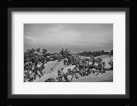 Villa View Fine Art Print