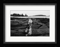 Stony Shore Fine Art Print