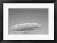 Flock in Flight Fine Art Print