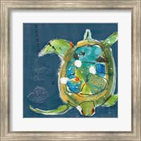 Chentes Turtle on Blue Fine Art Print