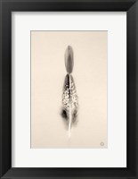 Floating Feathers I Sepia Fine Art Print