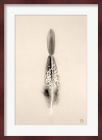 Floating Feathers I Sepia Fine Art Print