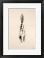 Floating Feathers I Sepia Framed Print