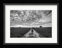 Farm Road Fine Art Print