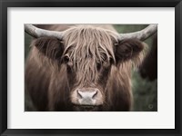 Cow Nose Light Fine Art Print