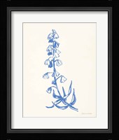 Bluebells I Framed Print