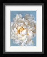 Open Petals II Framed Print