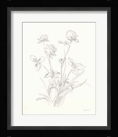 Nature Sketchbook VIII Framed Print