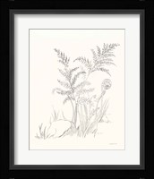 Nature Sketchbook VI Framed Print