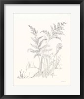 Nature Sketchbook VI Fine Art Print