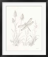 Nature Sketchbook IV Fine Art Print