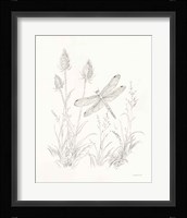 Nature Sketchbook IV Framed Print