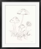 Nature Sketchbook III Fine Art Print