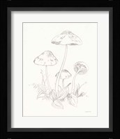 Nature Sketchbook III Fine Art Print