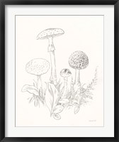 Nature Sketchbook II Fine Art Print
