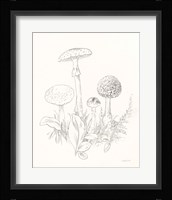 Nature Sketchbook II Fine Art Print