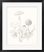 Nature Sketchbook II Framed Print