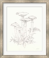 Nature Sketchbook I Fine Art Print