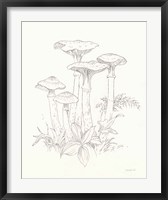 Nature Sketchbook I Fine Art Print