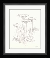 Nature Sketchbook I Fine Art Print