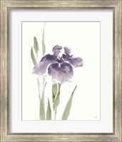 Japanese Iris III Purple Crop Fine Art Print