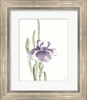 Japanese Iris II Purple Crop Fine Art Print