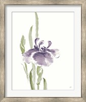 Japanese Iris II Purple Crop Fine Art Print