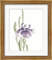 Japanese Iris II Purple Crop Fine Art Print