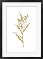 Gold Line Lily of the Valley II Fine Art Print