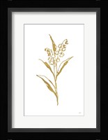Gold Line Lily of the Valley II Framed Print