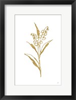 Gold Line Lily of the Valley II Framed Print