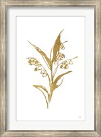 Gold Line Lily of the Valley I Fine Art Print