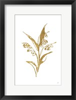 Gold Line Lily of the Valley I Framed Print