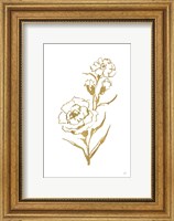 Gold Line Carnation III Fine Art Print