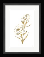 Gold Line Carnation III Framed Print
