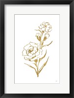 Gold Line Carnation III Framed Print