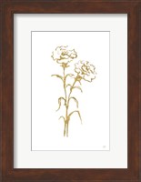 Gold Line Carnation II Fine Art Print
