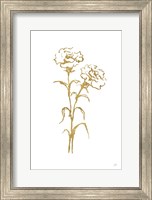 Gold Line Carnation II Fine Art Print