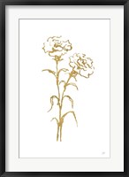 Gold Line Carnation II Fine Art Print